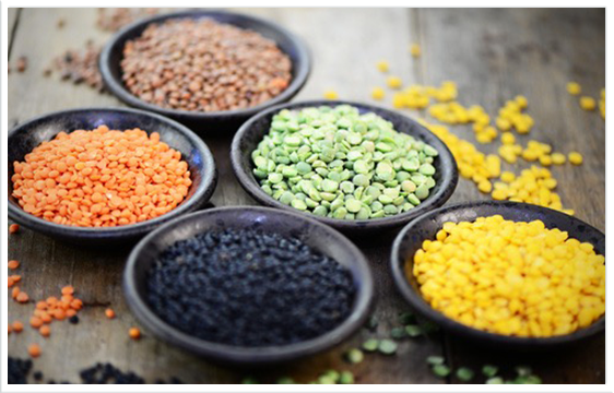 Mattfeld Cash und Carry Frischemarkt Nährmittel