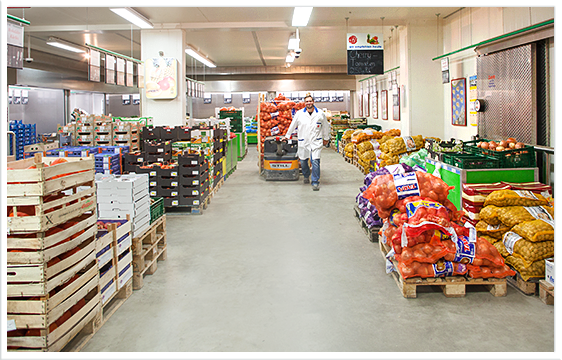 Mattfeld Cash & Carry Markt Gemüse, Obst, Fisch, Fleisch, Wurst, Seafood