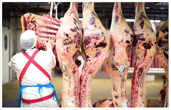 Mattfeld Frischfleisch Direktverkauf Hamburger Schanzenviertel