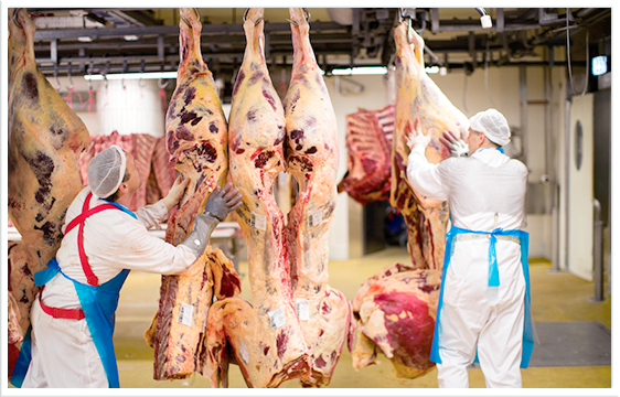 Fleischzerlegung Direktverkauf Hamburg Mattfeld 