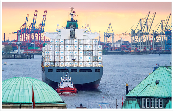 Mattfeld Fleischgrossmarkt Grosshandel Import aus vielen Ländern der Erde