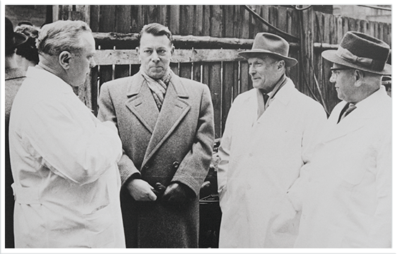 Politik auf dem Schlachthof Mattfeld Historie