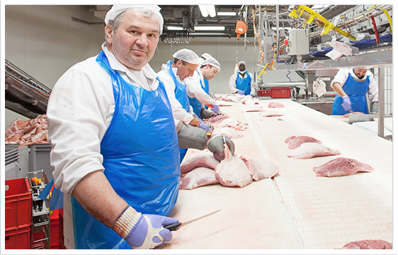 Mattfeld Fleischgrossmarkt Hamburg Schanze Fleischzerlegung